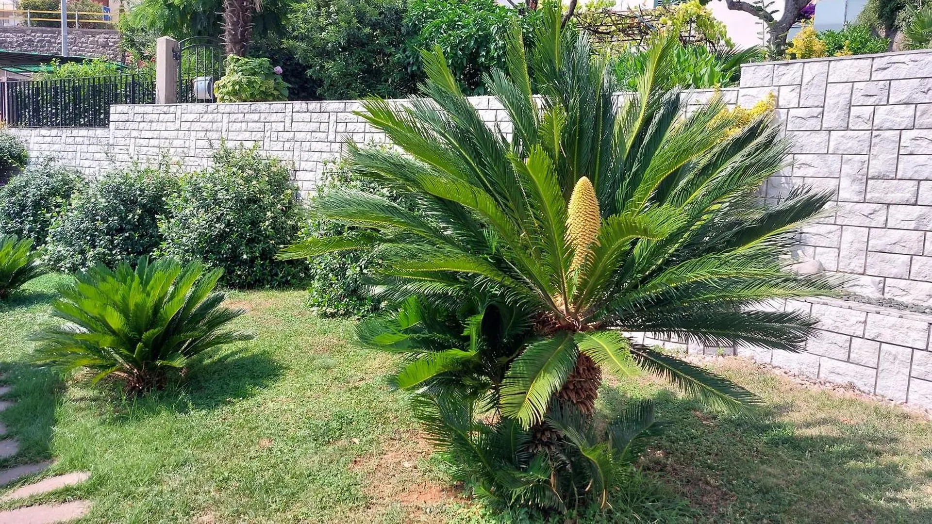 Opatija Centar Lägenhet 0*,